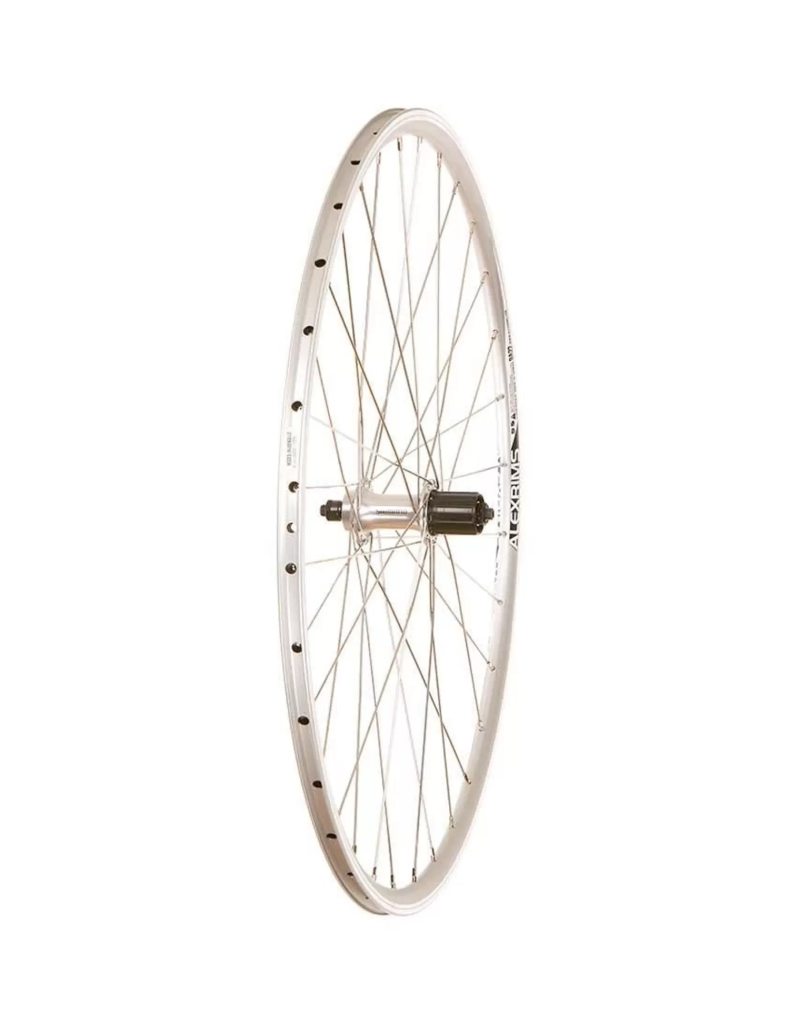 Wheel Shop Alex Da22 Silver / Shimano Rs300, 8,9,10 Speed Hot